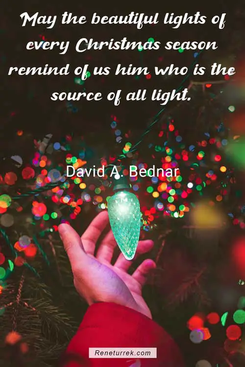 famous-fairy-light-quotes-by-david-bednar