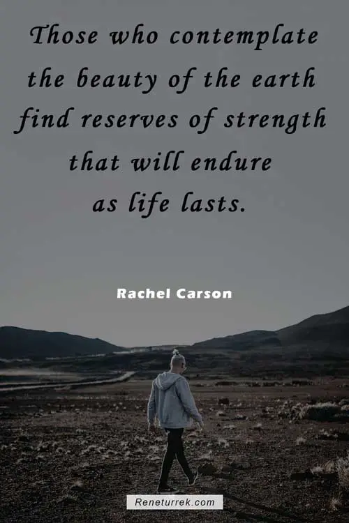 quotes-and-sayings-on-natural-beauty-of-life-by-rachel-carson