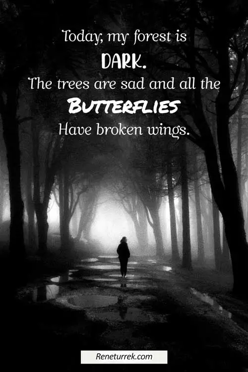 heartbreaking-quotes-for-him-dark-forest