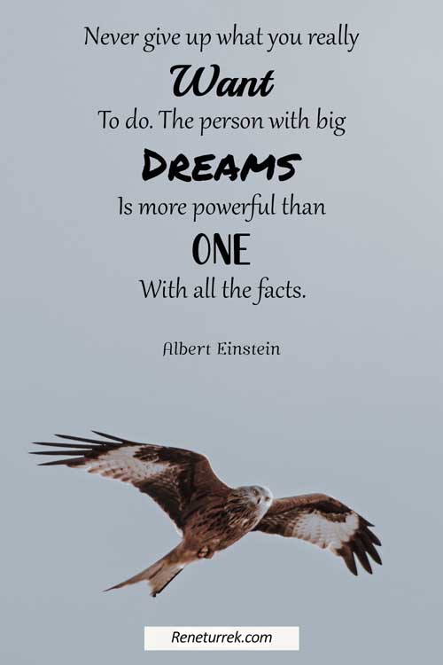 75 Great Quotes to Inspire You Start the Journey to Your Dreams