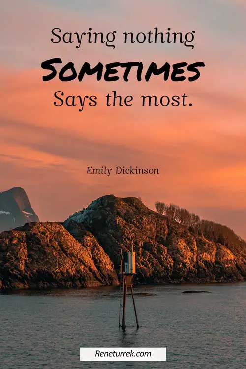 power-of-silence-quotes-by-Emily-Dickinson
