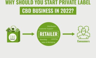 why-should-you-start-private-label-cbd-business