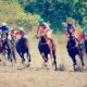 five-fastest-horses-in-kentucky-derby-history