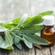 beyond-the-kitchen-exploring-the-lesser-known-uses-of-sage-essential-oil