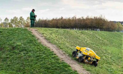 How Lawn Care Teaches Patience, Persistence, and Growth