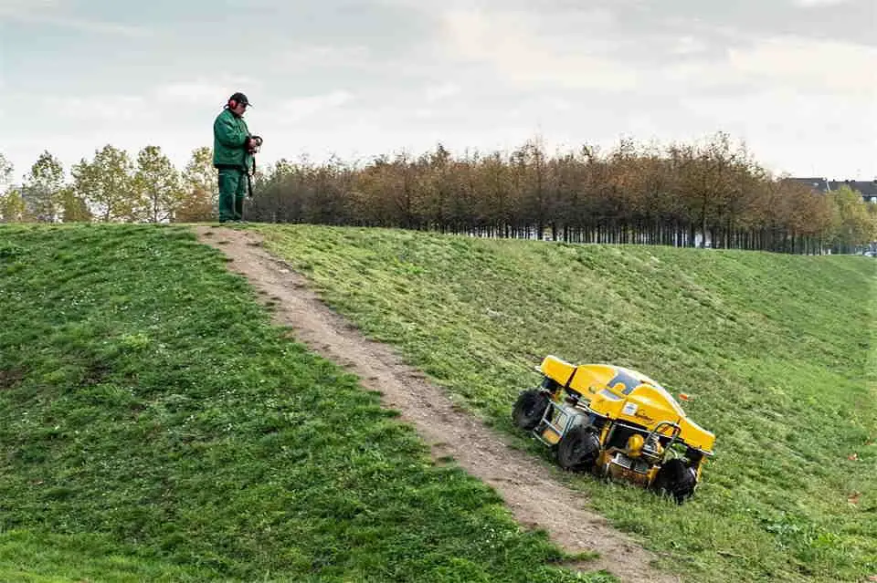 How Lawn Care Teaches Patience, Persistence, and Growth