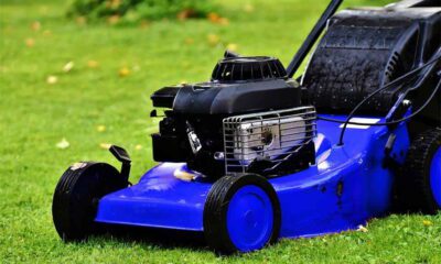 Let Your Lawn Mow Itself The Magic of Robot Mowers