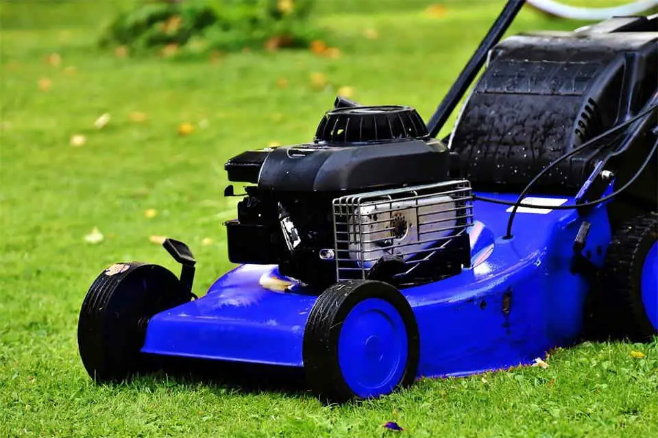 Let Your Lawn Mow Itself The Magic of Robot Mowers