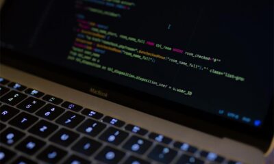 How Hiring Offshore IT Professionals Will Benefit Your New Business