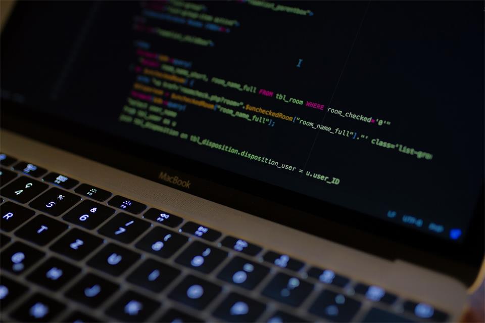 How Hiring Offshore IT Professionals Will Benefit Your New Business